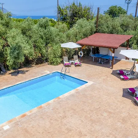 Vila Irini Cyprus By *
